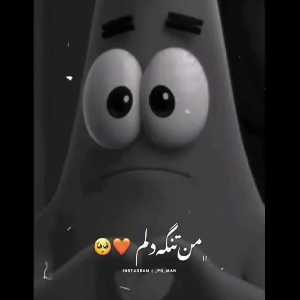 نفیسه عباسی قرائی